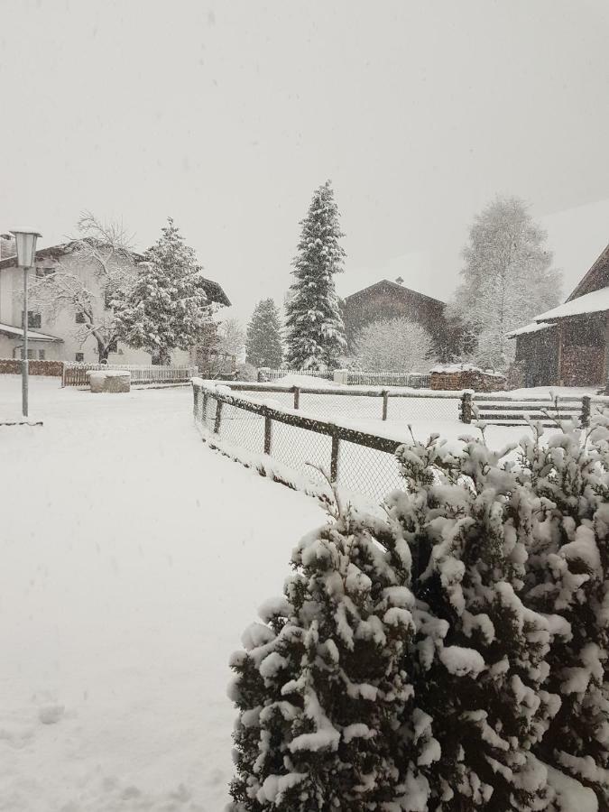 Haus Wiesenheim Fw Oetztal Längenfeld Zewnętrze zdjęcie